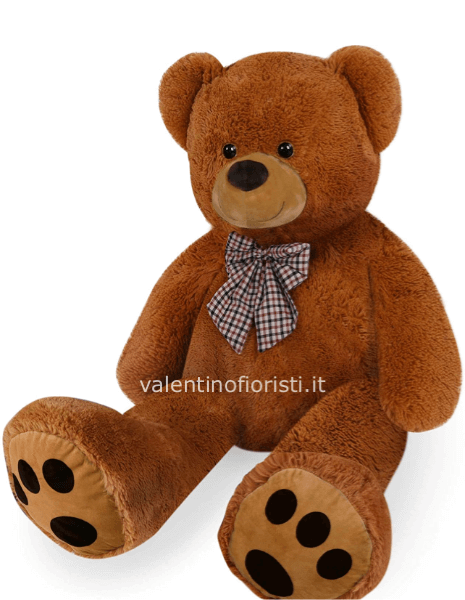 Teddy lux xl