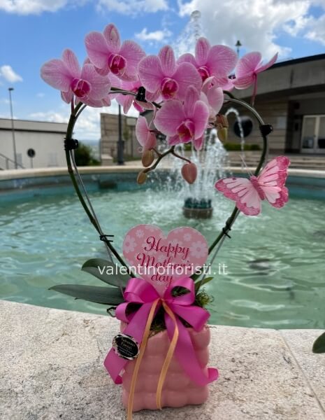 Orchidea love mum
