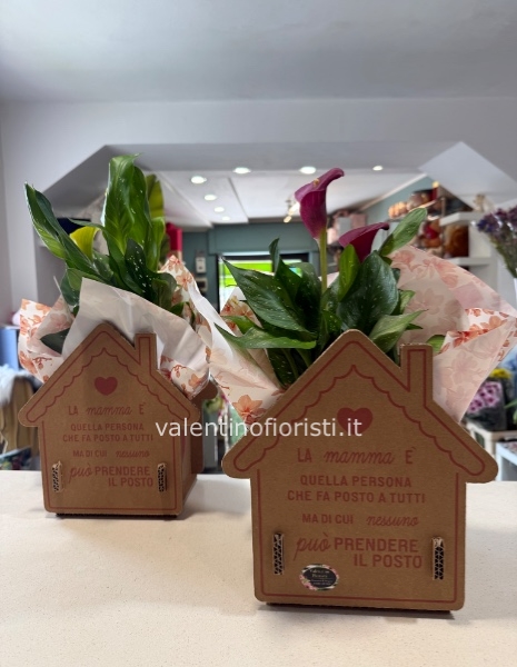 Mamma è Casa